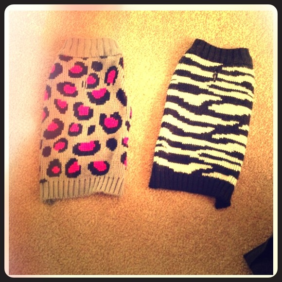 2 puppies sweaters, queen bee puppy shirt & dress