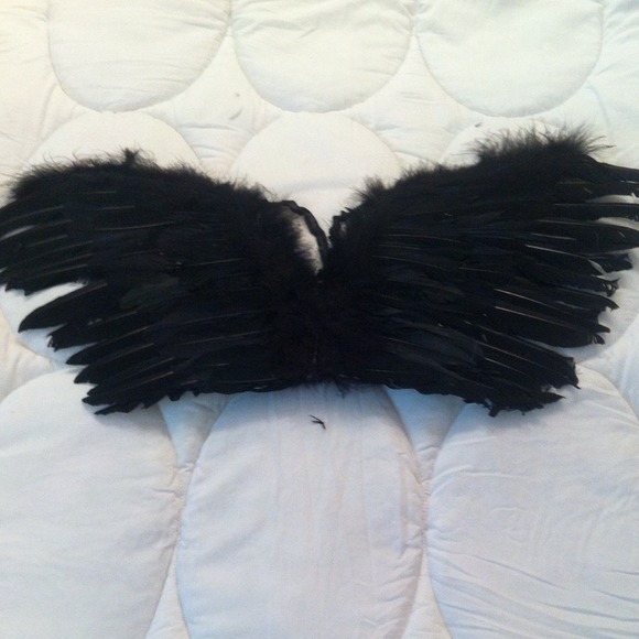 Angel or fairy wings SKU312-317