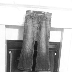 Express "Eva" Fit & Flair Jeans 6S