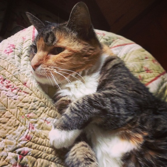 Meet your seller/ buyer! :))))) - Picture 2 of 4