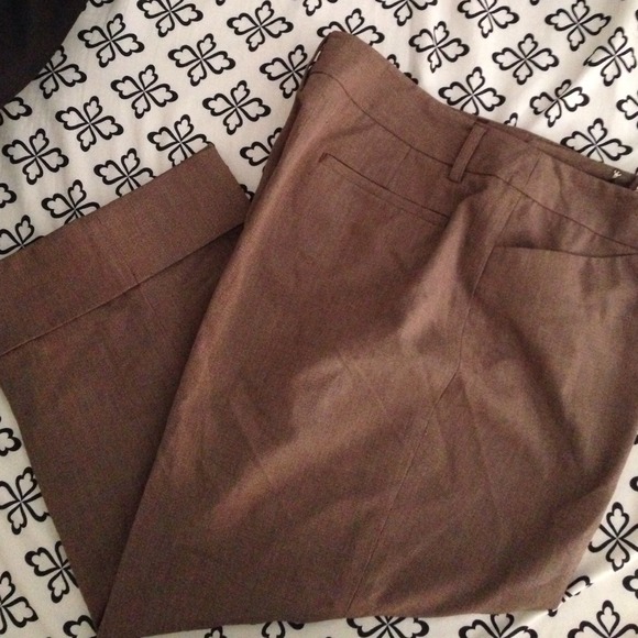 Knee length dress pant