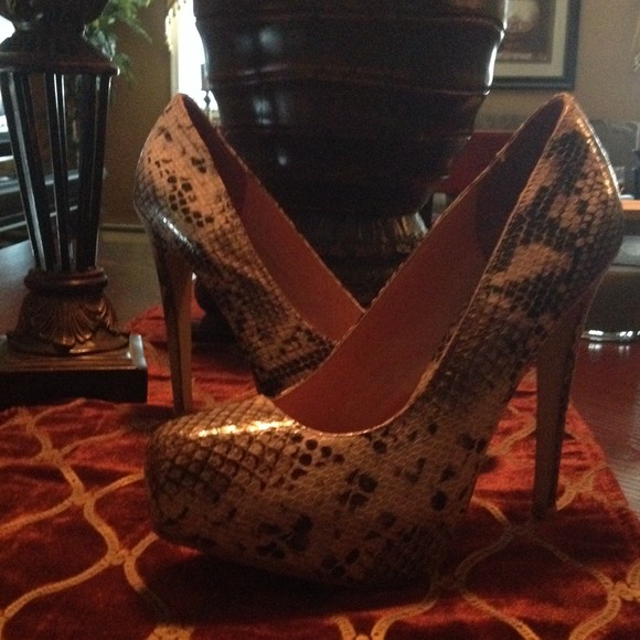 Gorgeous reptile pumps from Aldo, never worn