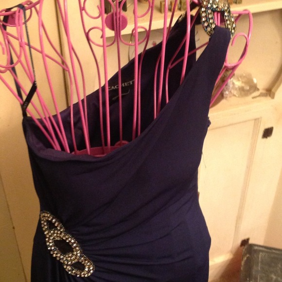 REDUCED from $125 to $95 stunting dress never used