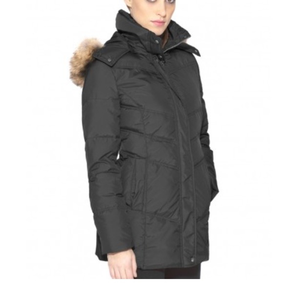 Marc Andrews missile