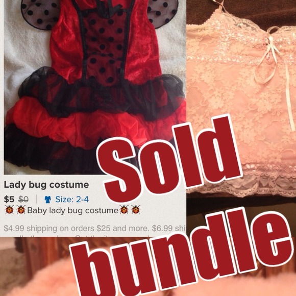 Lady bug costume