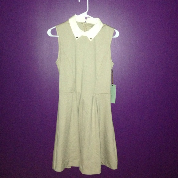 Collared Dress