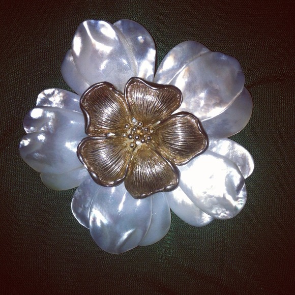 Seashell brooch