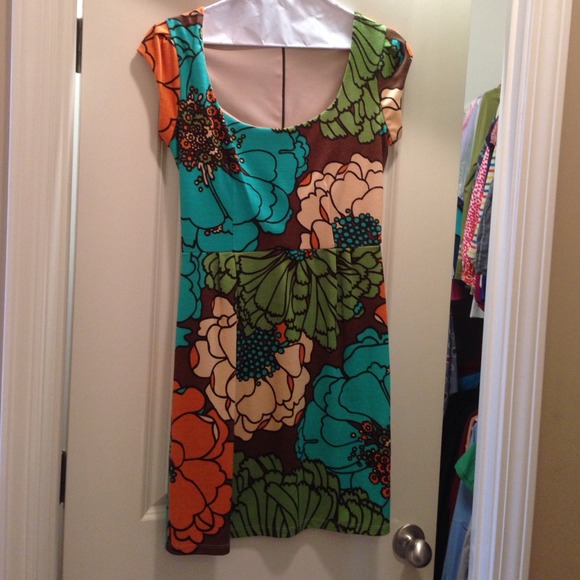Fall wool dress with cap sleeves
