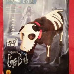 Halloween dog costume corpse bride dog