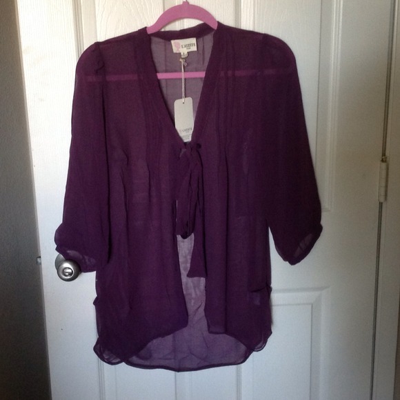 Plum colored sheer top