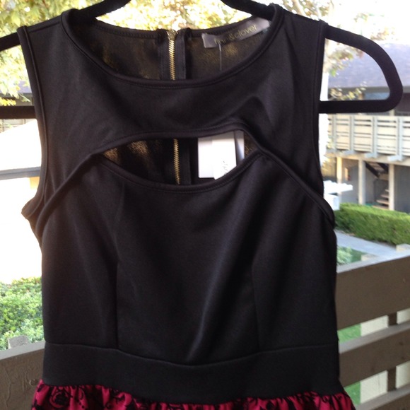 NWT - French Goth inspired Black on Ox Blood dress - Picture 2 of 4