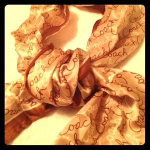 Brown and gold coach scarf