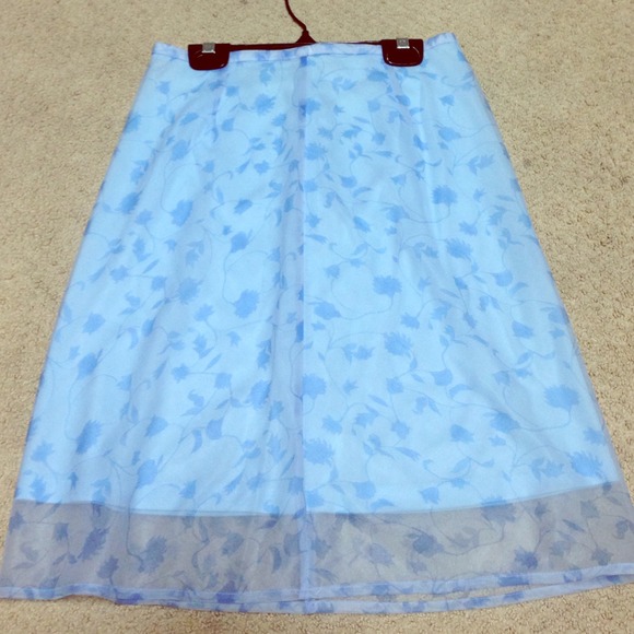Baby Blue Sheer Skirt