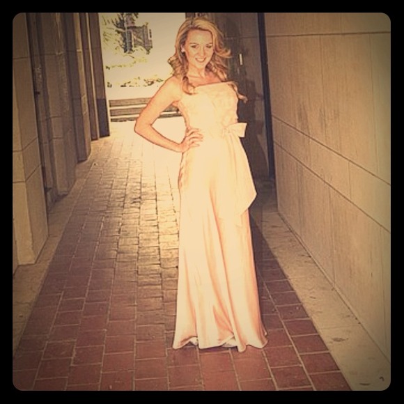 Blush-Colored Evening Gown