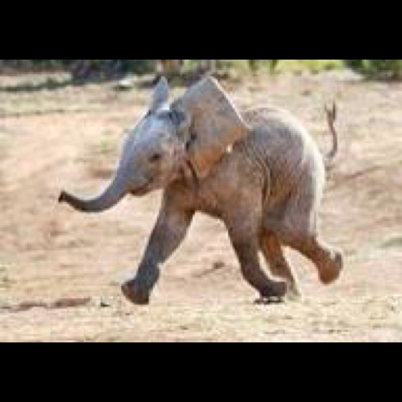 Bundle/trade for @littlegypsylady