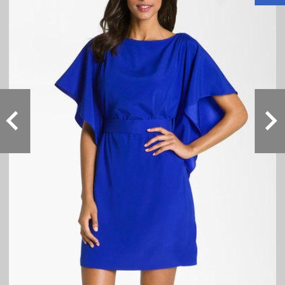 ⚡️Just Showing a Friend⚡️NFS Suzi Chin dress