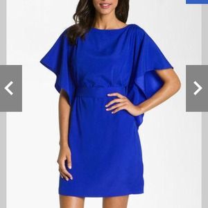 ⚡️Just Showing a Friend⚡️NFS Suzi Chin dress