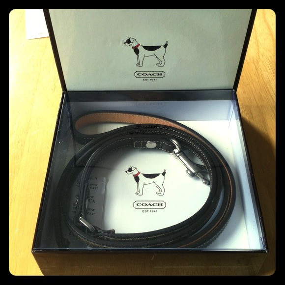 NWT authentic Coach brown dog leash: flawless!