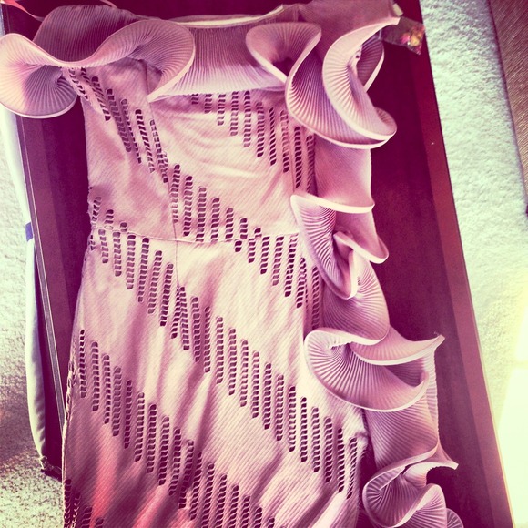 NWT Violet Ruffle Stretch Sleeveless Dress Size S