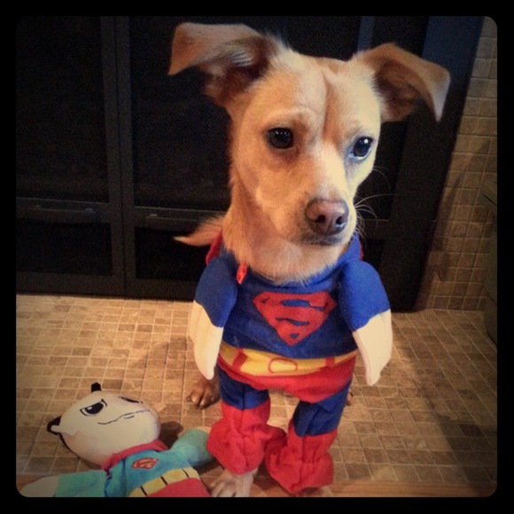 Accessories - Superman Costume for Small Dog