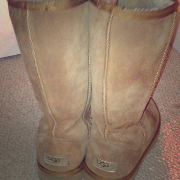 Tall Chestnut Uggs