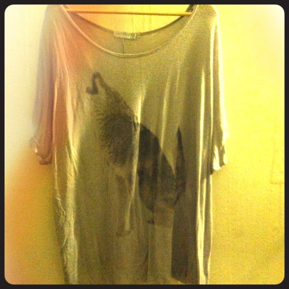 Day Dreamer (Urban Outfitters) Oversized wolf tee