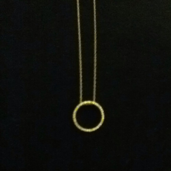 "SOLD" 10k White Gold Circle Pendant and Necklace