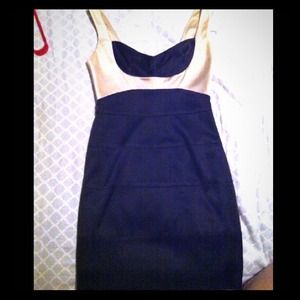 NWOT BCBG Black and Tan dress