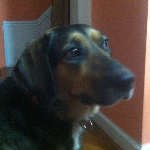 Shop my Mami's closet! :3