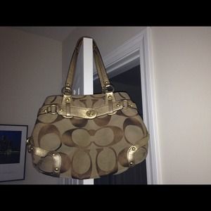 Bundle with TOMS for Dgray