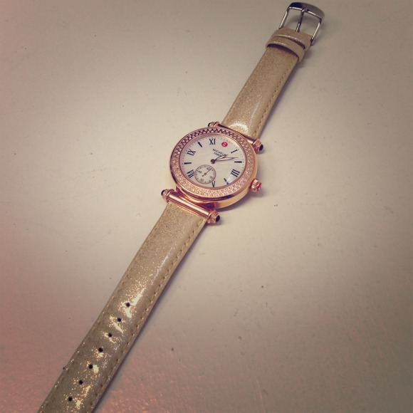 Gorgeous Michele Watch