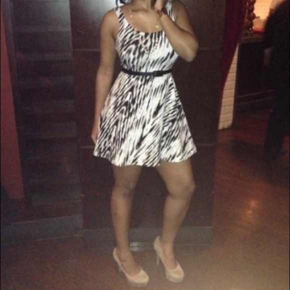 Super Cute Express Skater dress