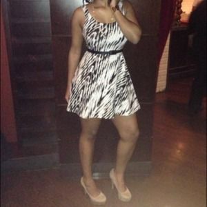 Super Cute Express Skater dress