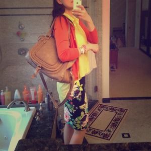 Chloe inspired Marcie bag