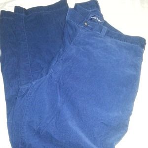 Men's dark blue RL POLO GOLF pants