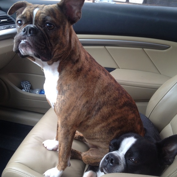 Meet the Posher - Picture 2 of 4