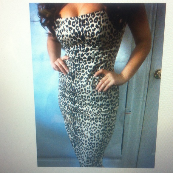 NWOT bebe Brown animal print knee length dress S