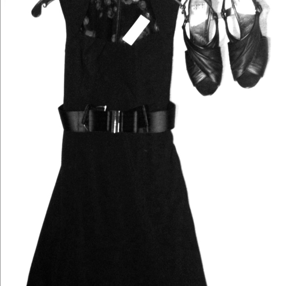 NWT White House Black Market dress size 4