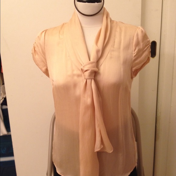 Champaign Color Silk Top