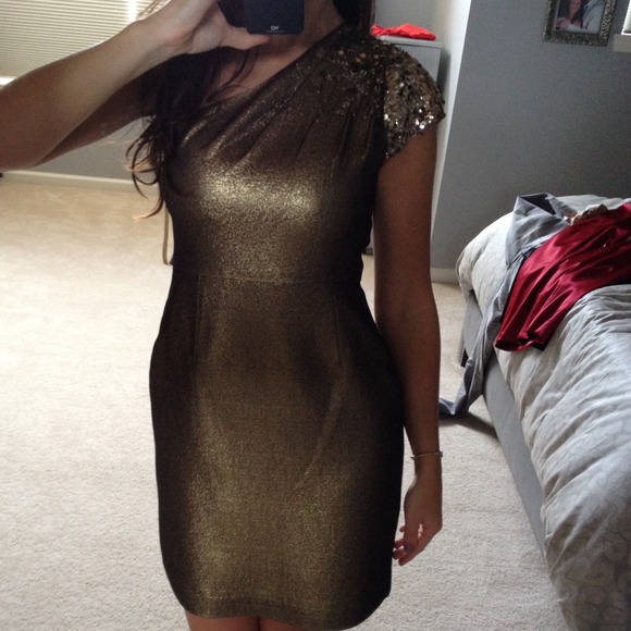 STUNNING Bronze Elie Tahari Dress NWT