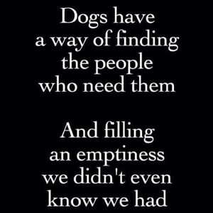 Not selling anything here..including dogs.