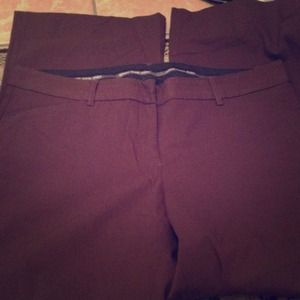 Express brown dress pant