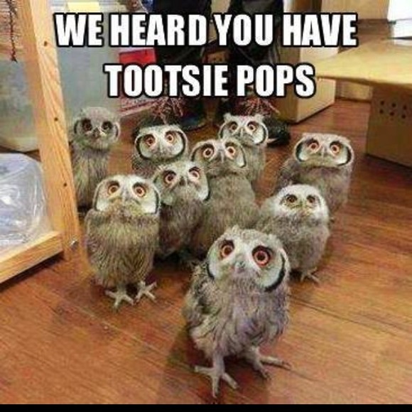 🔆Come see our closet🔆