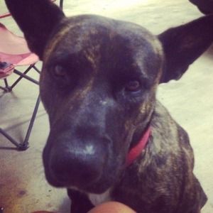 Otis says "Let's make a deal!!"
