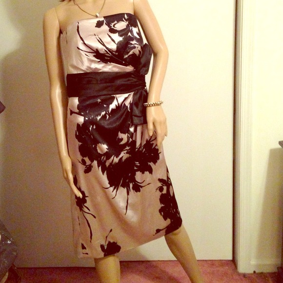WHBM Champagne and Black Strapless Knee Length 12