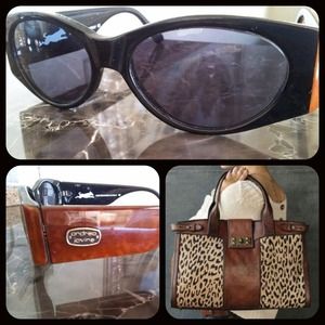 March Madness Sale Andrea Jovine from Italy