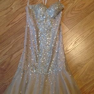 Terani prom dress