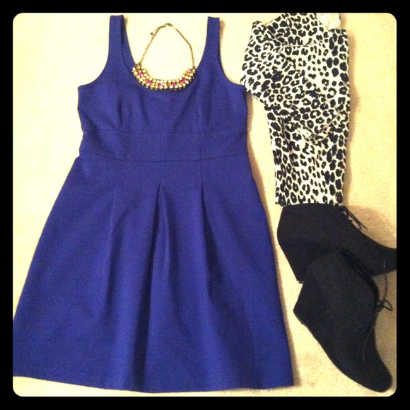 NWT Royal Purple Bustier Seamed Flare Dress