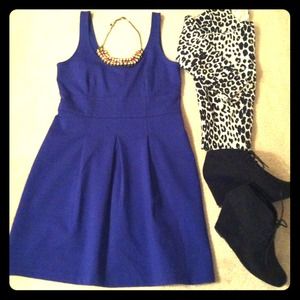 NWT Royal Purple Bustier Seamed Flare Dress