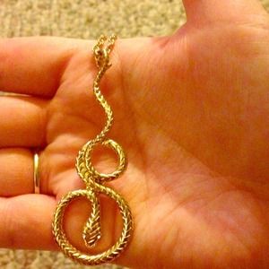 Gold necklace with snake charm